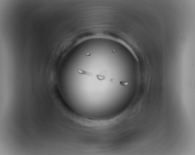 X0000114540031200910191351