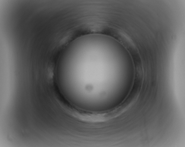 X0000114540032200910191351