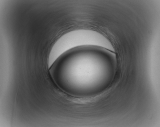 X0000114540033200910191351