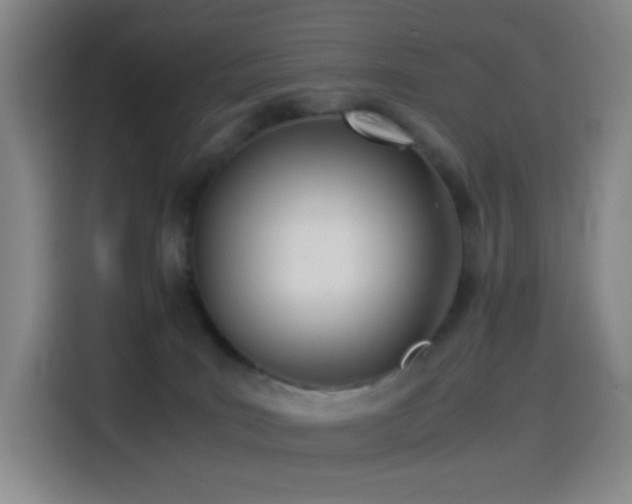 X0000114540035200910191351