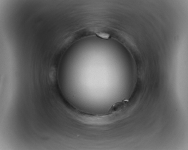 X0000114540036200910191350