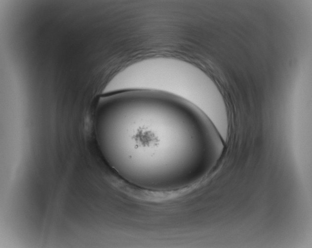 X0000114540037200910191350