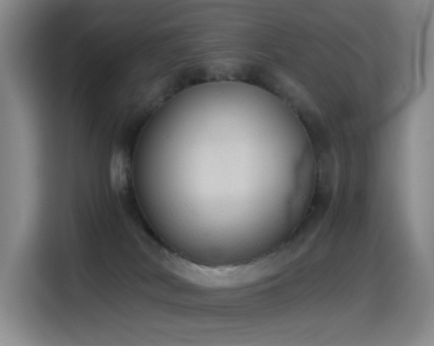 X0000114540038200910191350