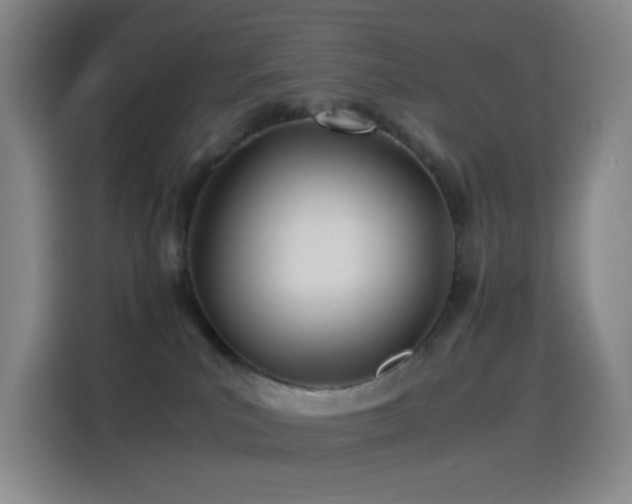 X0000114540039200910191350