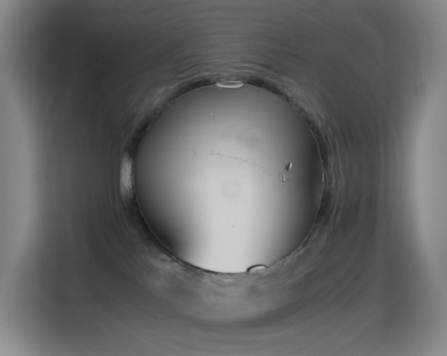 X0000114540041200910191350