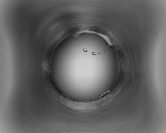 X0000114540044200910191350