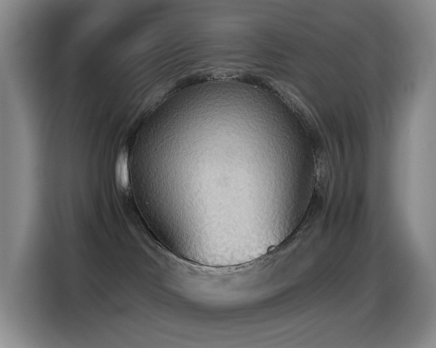 X0000114540046200910191350