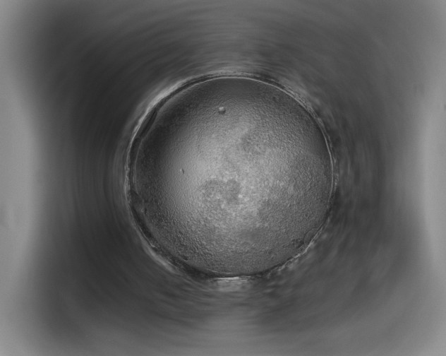 X0000114540050200910191350