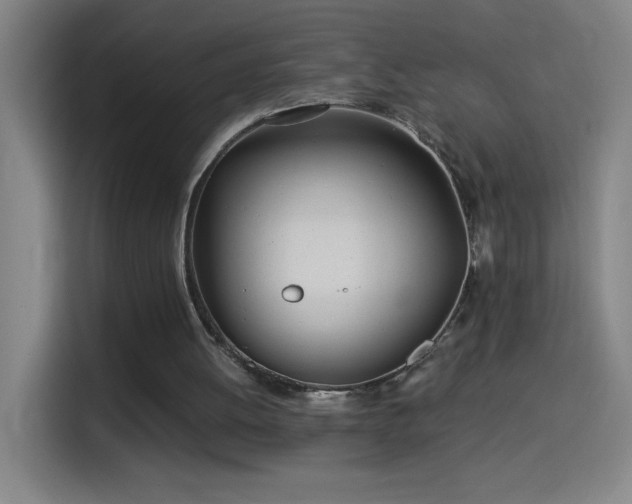 X0000114540052200910191350