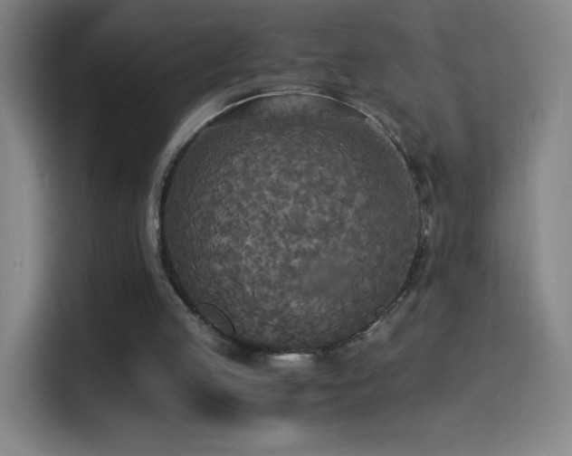 X0000114540053200910191350