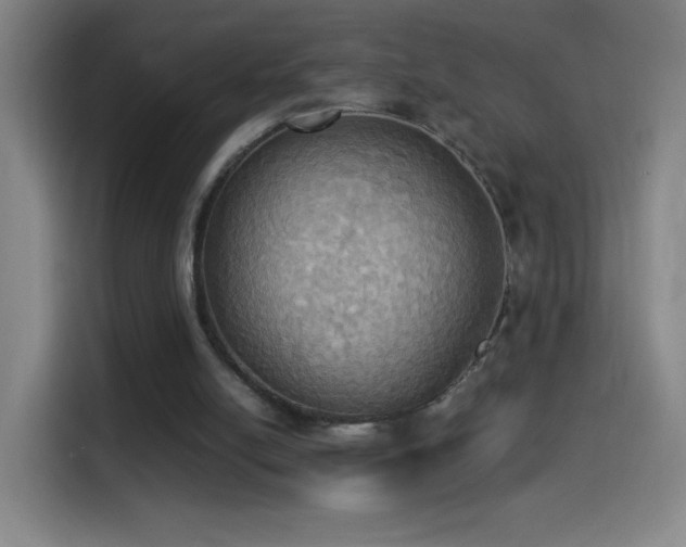 X0000114540054200910191350