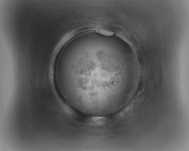 X0000114540055200910191350