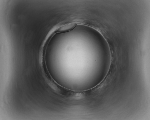 X0000114540056200910191350