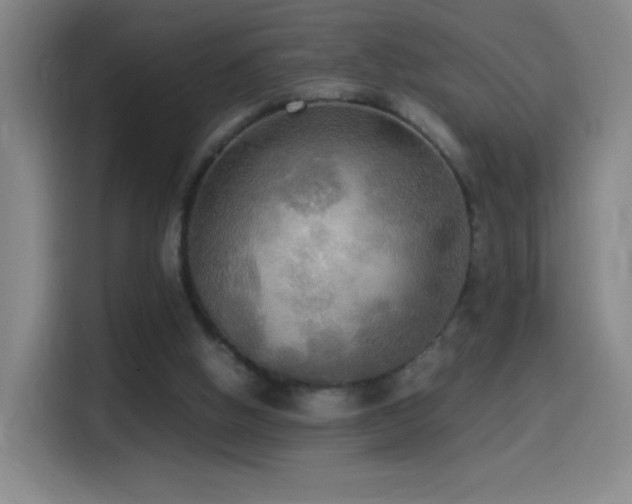 X0000114540058200910191350