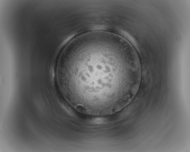 X0000114540059200910191350