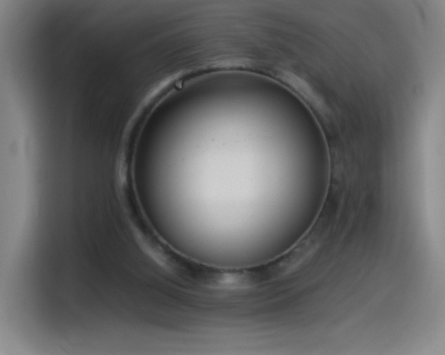 X0000114540060200910191350