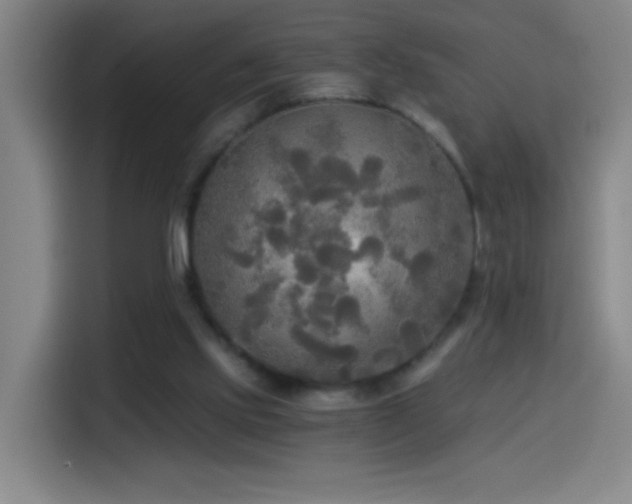 X0000114540061200910191350