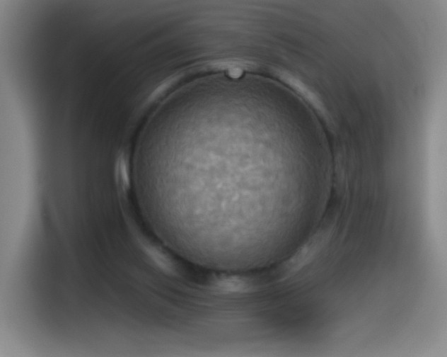 X0000114540062200910191350