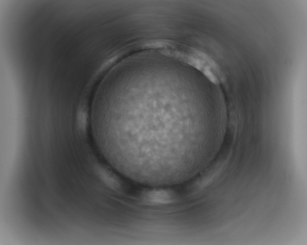 X0000114540063200910191350