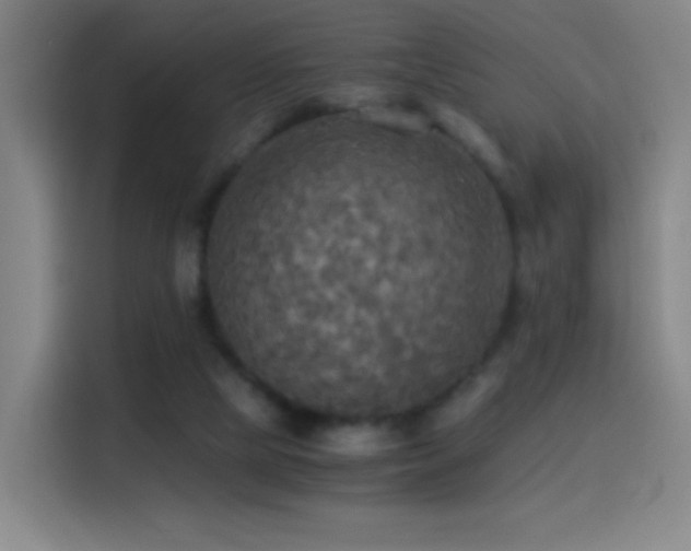 X0000114540065200910191350