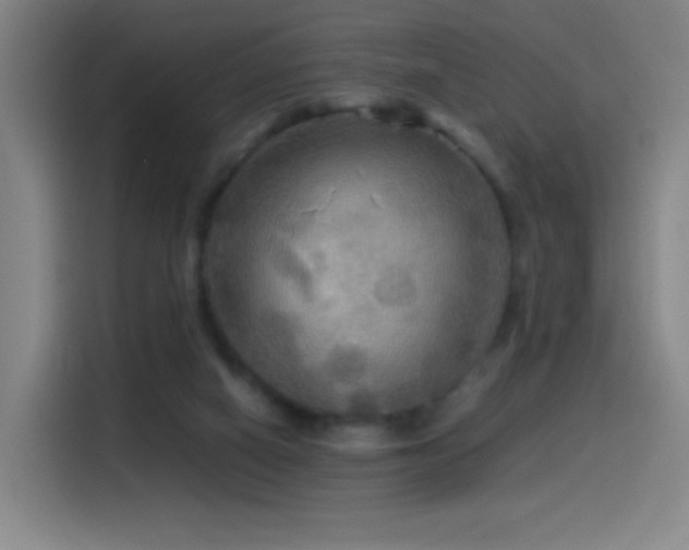 X0000114540066200910191350