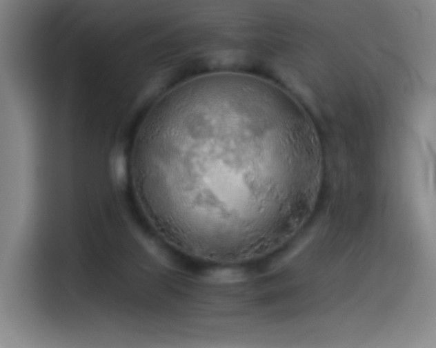 X0000114540067200910191350