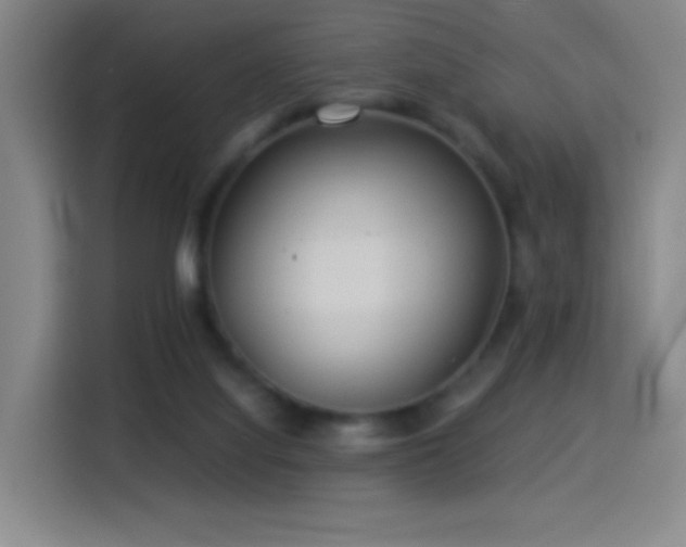 X0000114540068200910191350