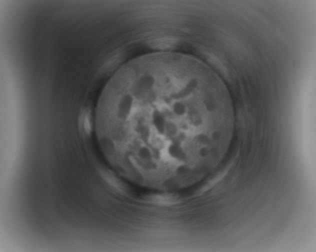 X0000114540069200910191350