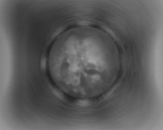 X0000114540071200910191350