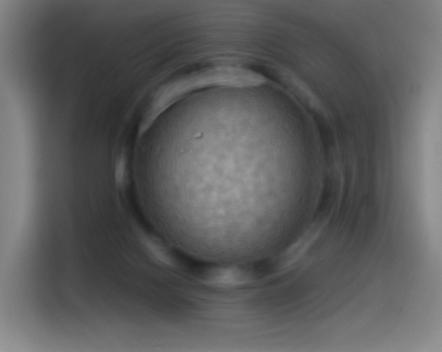 X0000114540074200910191350