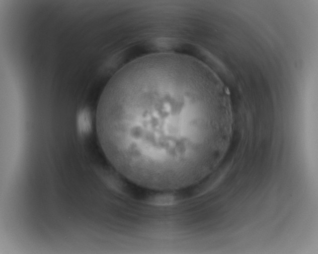 X0000114540075200910191350