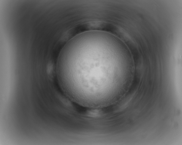 X0000114540079200910191350