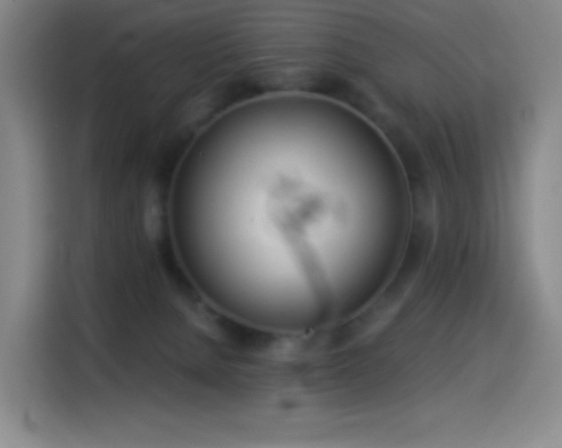 X0000114540080200910191350