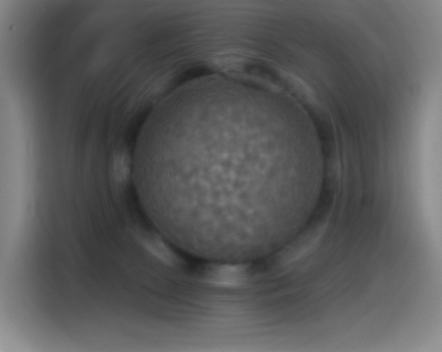 X0000114540081200910191350