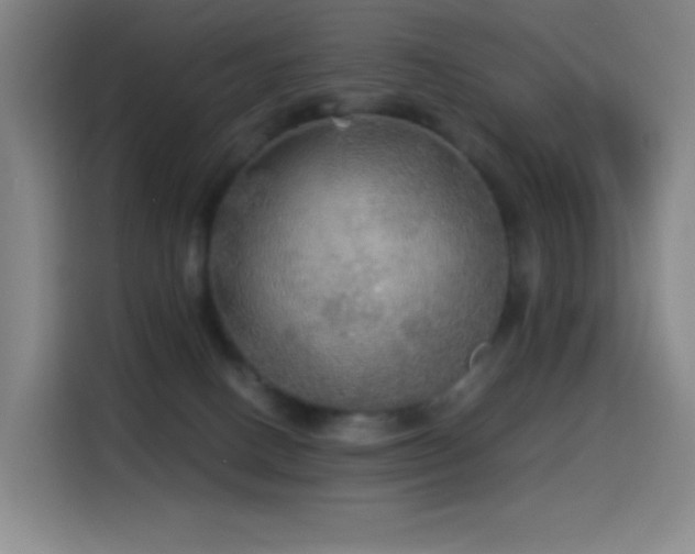 X0000114540082200910191350