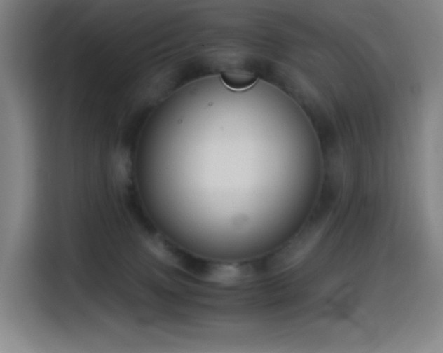 X0000114540083200910191350