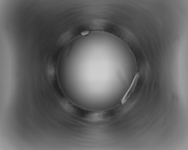 X0000114540084200910191350