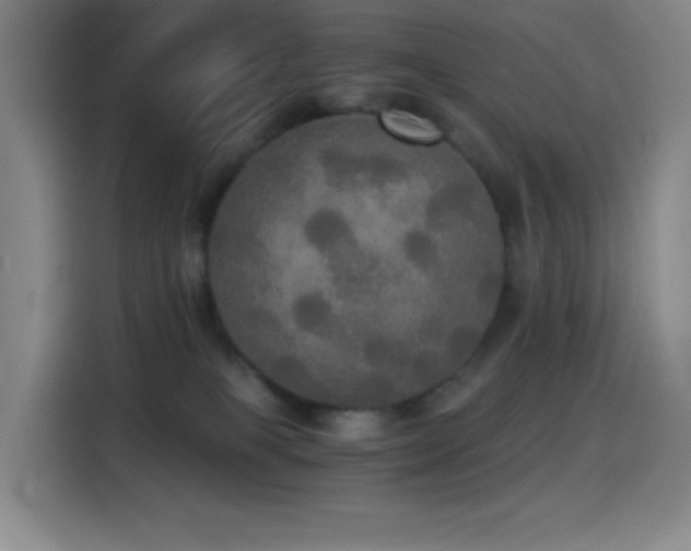 X0000114540085200910191350