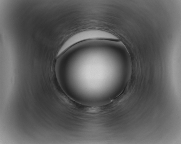 X0000114540088200910191350