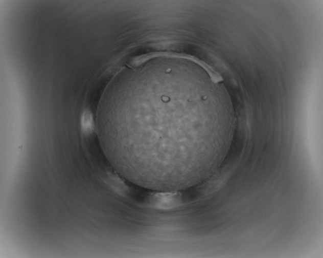 X0000114540089200910191350