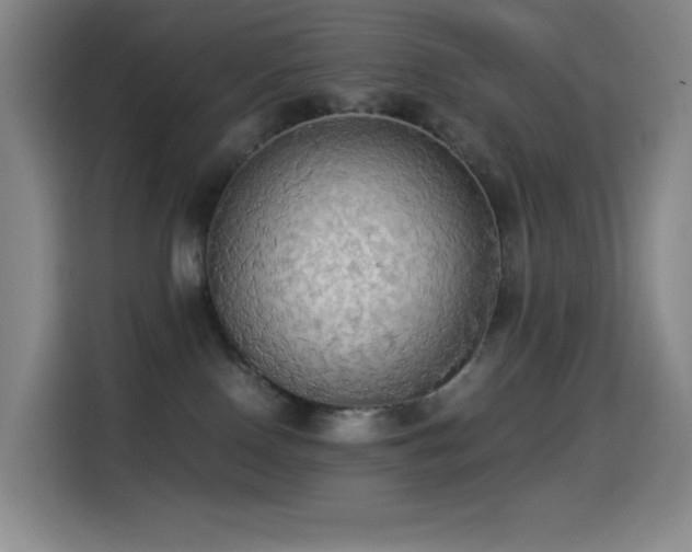 X0000114540090200910191350