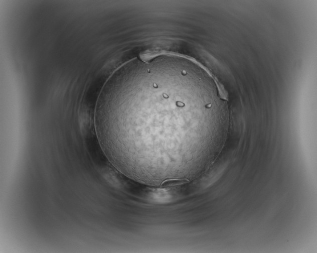 X0000114540091200910191350