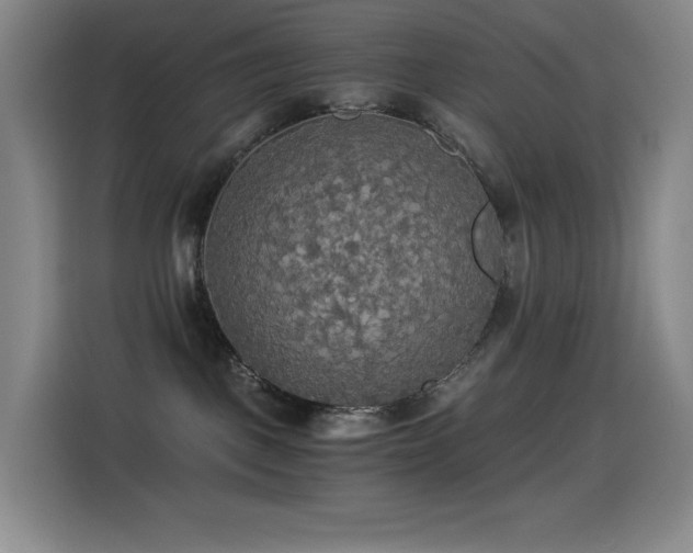 X0000114540093200910191350