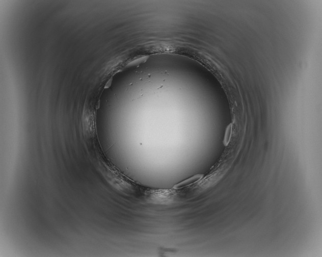 X0000114540096200910191350