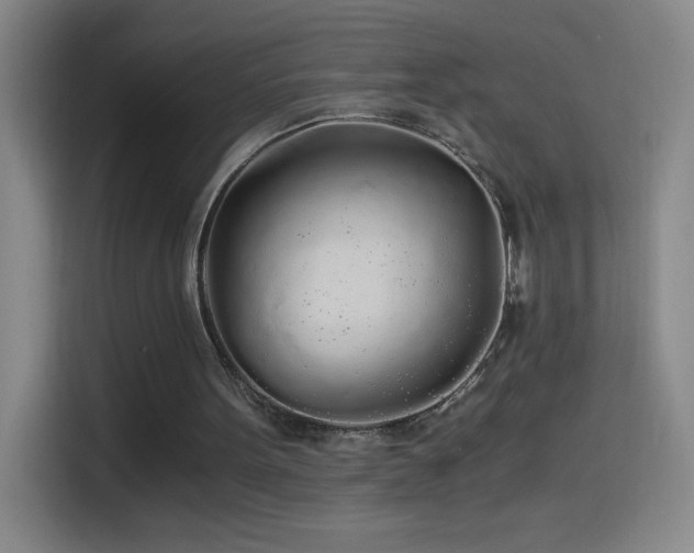 X0000114540099200910191350