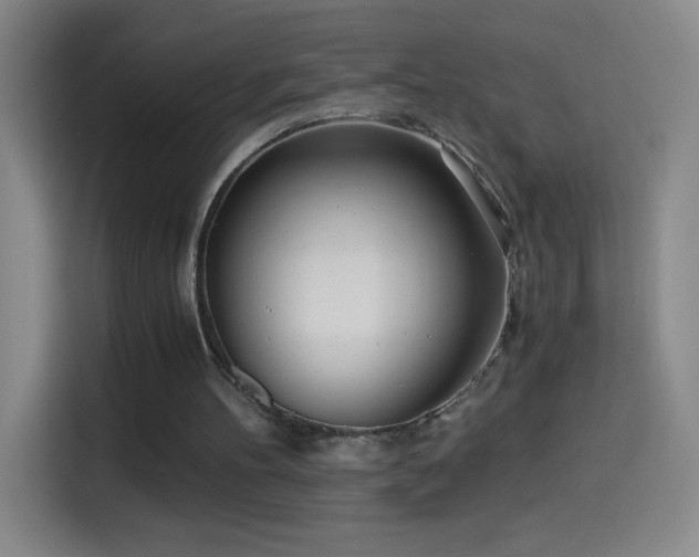 X0000114540100200910191350