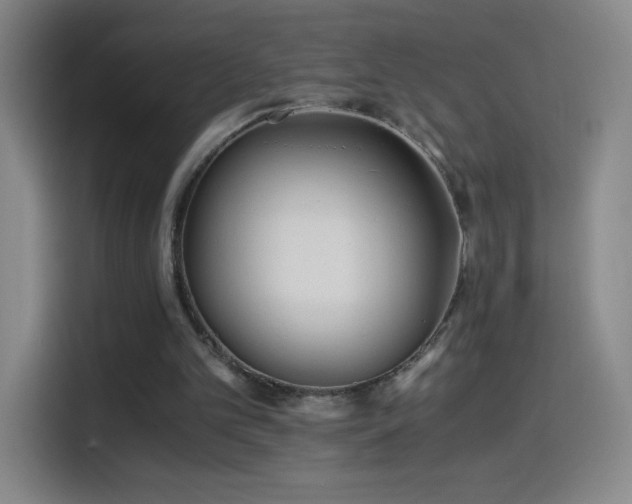 X0000114540101200910191350