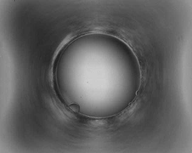 X0000114540102200910191350