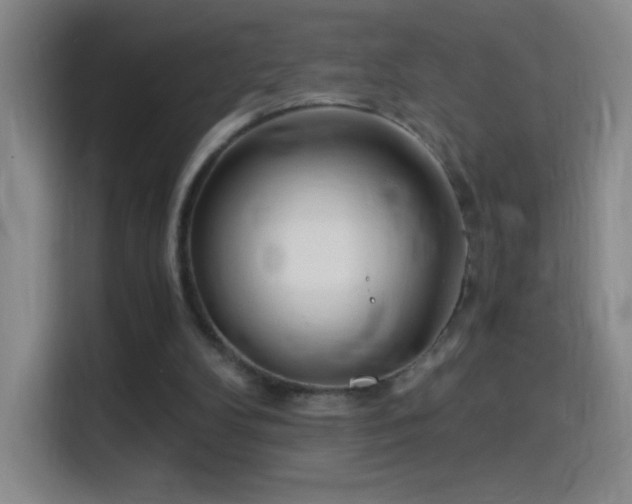 X0000114540104200910191350