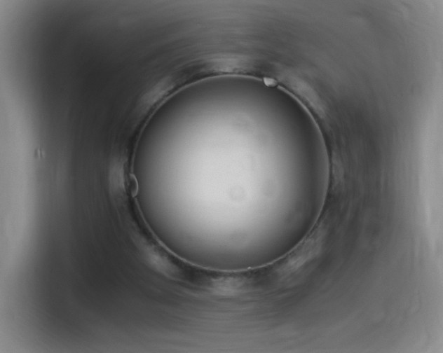 X0000114540105200910191350